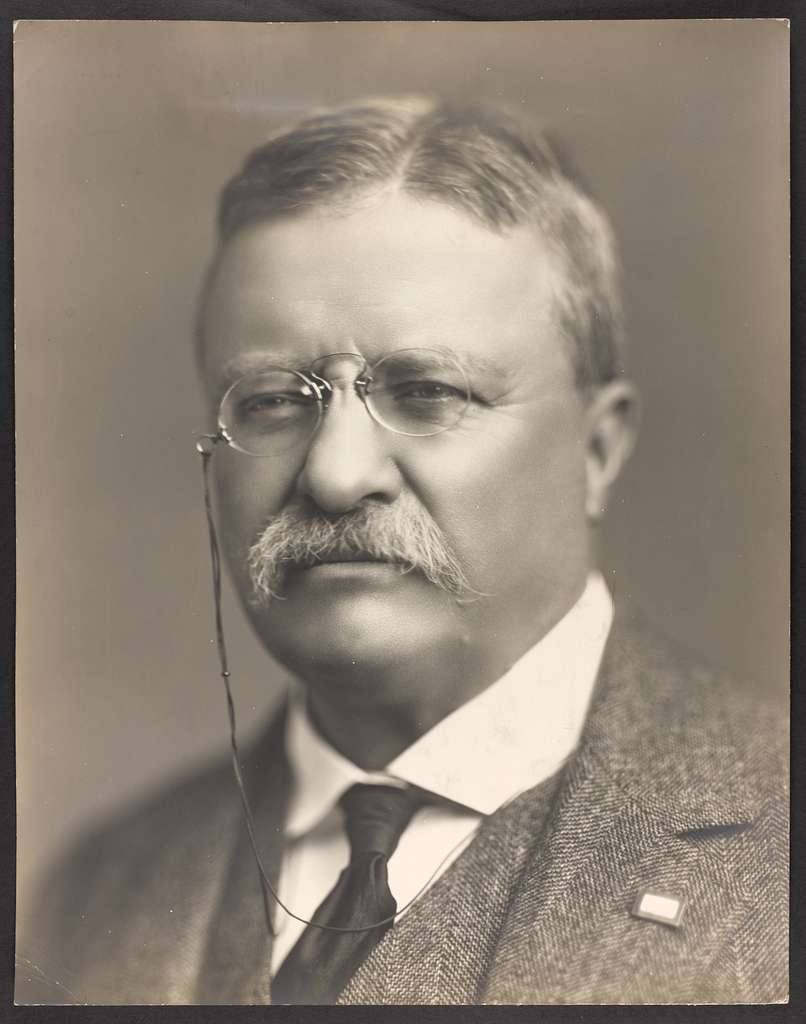 Theodore Roosevelt