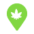 dispensaries.