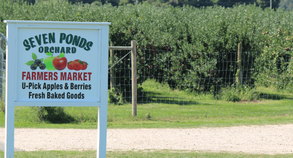 Seven Ponds Orchard