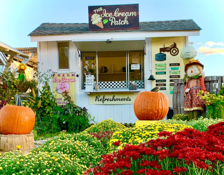 image 2025 05 04 120341288 768x601