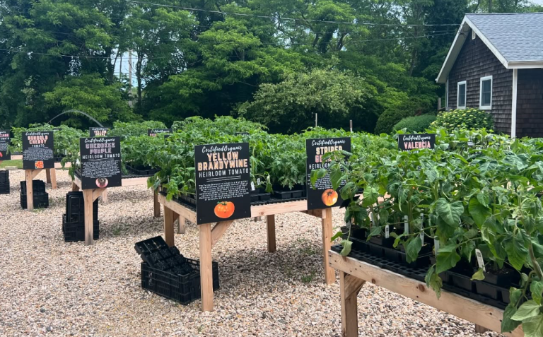 image 2025 05 04 132705011 768x477