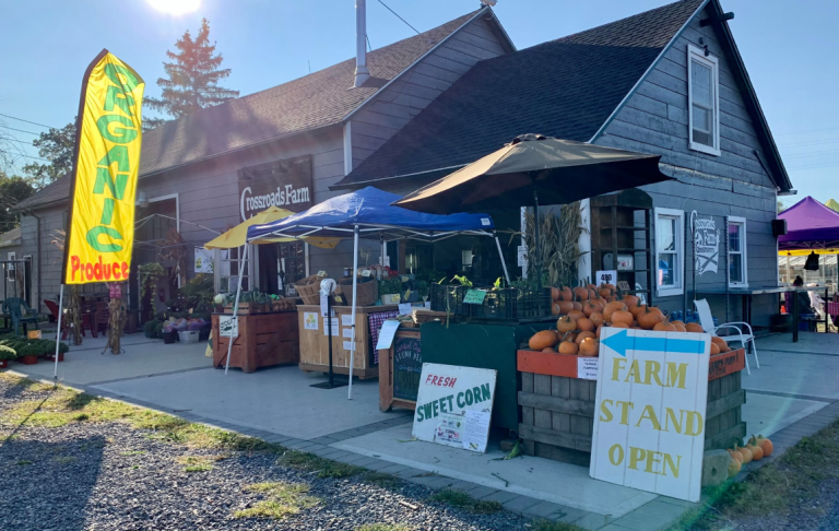 image 2025 05 04 134025446 768x486