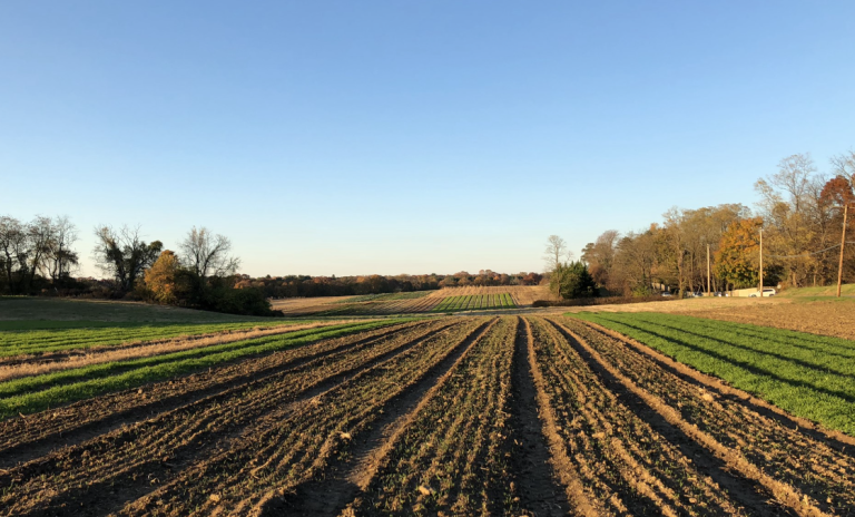 image 2025 05 05 092815083 768x464