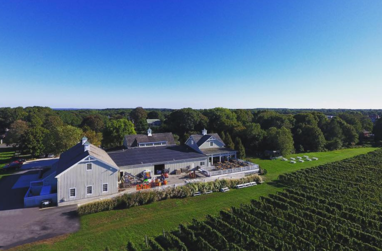 image 2025 05 05 124022316 768x506