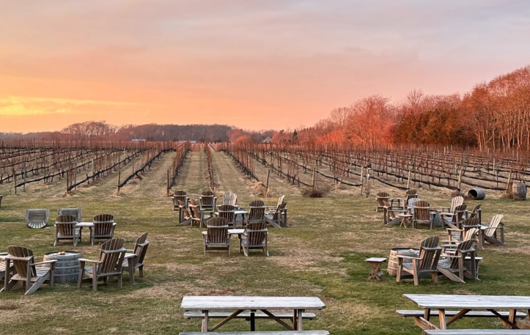 image 2025 05 05 142849311 768x486