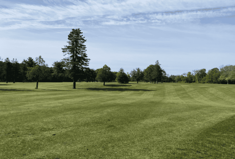 image 2025 05 10 132639247 768x519