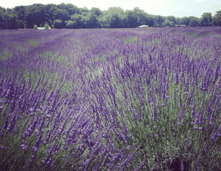 image 2025 05 18 094136094 768x594