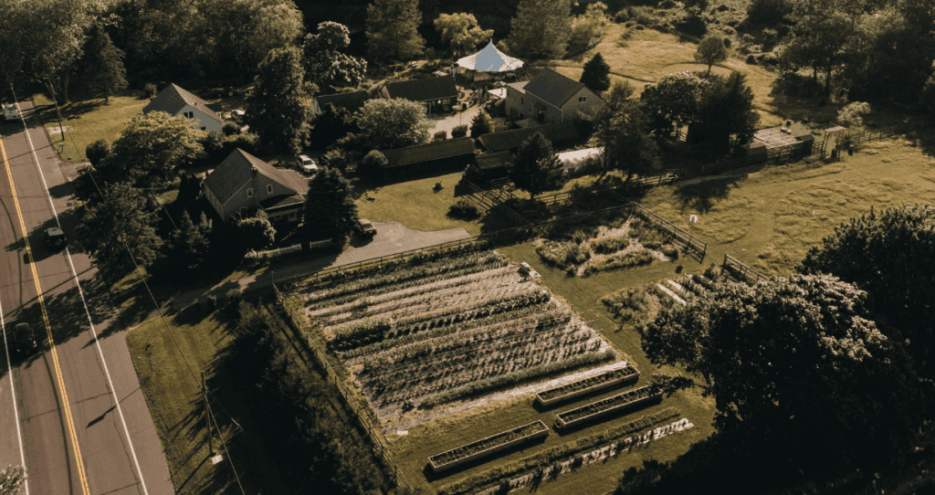 Lily Pad Acres