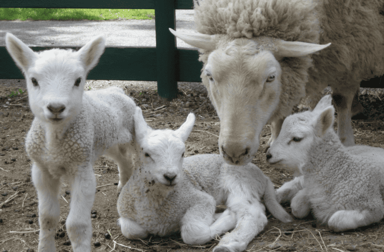 image 2025 05 21 094559673 768x504